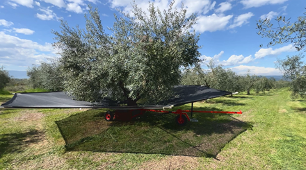 Olive Catcher Frame & Net - Spidernet from EVOLMAN